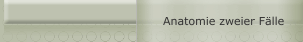 Anatomie zweier F&auml;lle