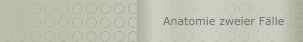 Anatomie zweier F&auml;lle
